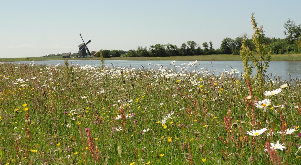 Vakantiepark Dennenoord Den Burg Kültér fotó