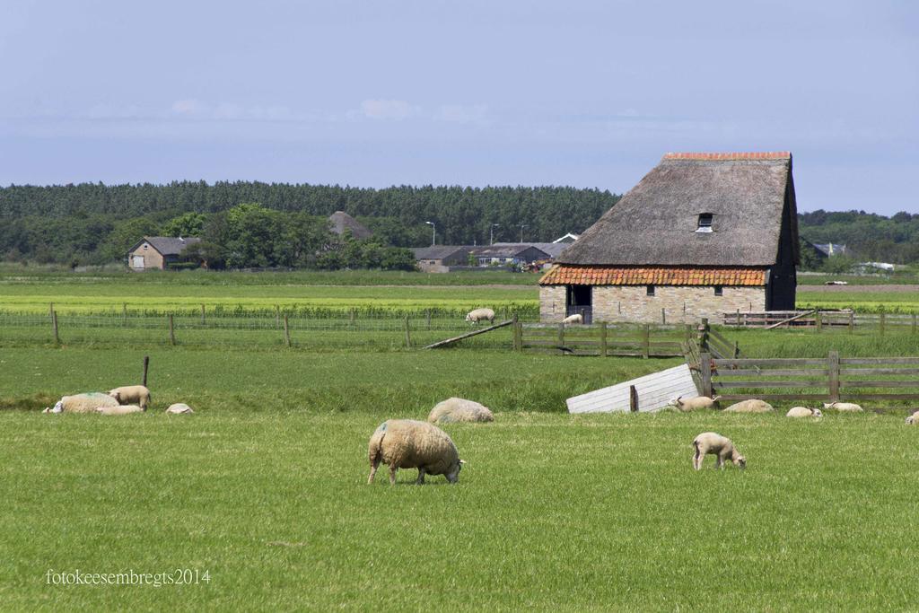 Vakantiepark Dennenoord Den Burg Kültér fotó